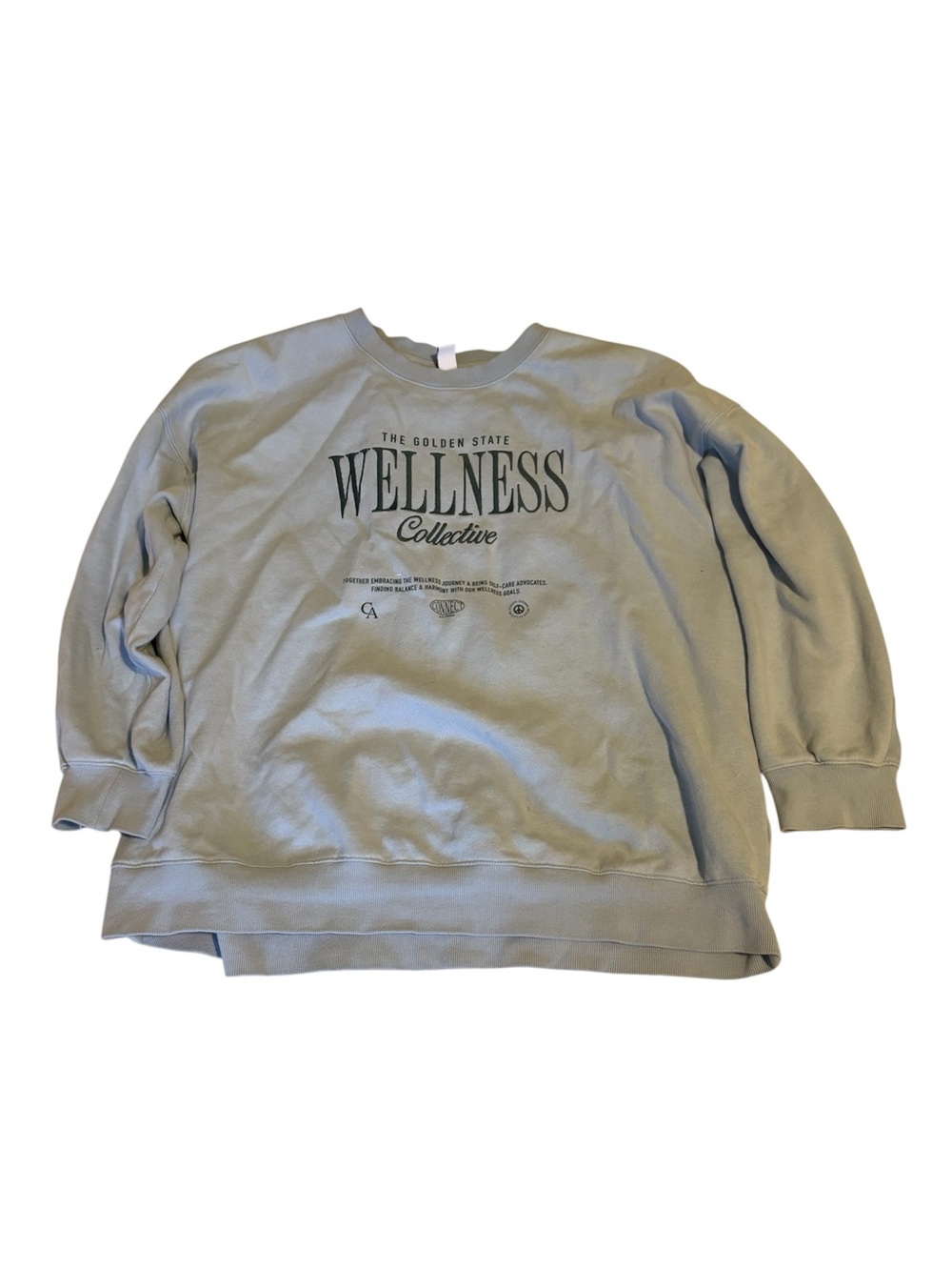 Wellness Collective Pullover Sweatshirt in Blue